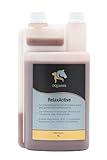 Equanis RelaxActive - Magnesium, B12, L-Tryptophan, Passionsblume, Baldrian und Hopfen | Unterstützung in besonders stressigen Situationen