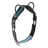 Busse Longiergurt DOUBLE, Warmblut, navy/sky blue