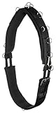 Equinate Longiergurt Conway mit Memory Foam Warmblut - 17 Ausbinderringe und 2 Karabinerhaken - Bauchumfang anpassbar