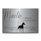CHRISCK design Pferdeschild aus Premium Edelstahl mit Gravur | Namensschild Boxenschild Stallschild wahlweise mit Bohrlöcher 30x20 cm mit Brandzeichen und Motiven Ideal für den Stall Pferdebox… (D6)