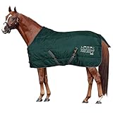 Horses, Heavy Winterdecke für Pferd 500gr, Gepolstert, Weich, Bequem, Ideal für Boxen, Widerstandsfähig, Grün, 128 cm