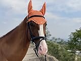 Tgw Riding Fliegenhaube, Fliegenohren,Fliegenschutz Ohrenschutz,Horse Ear Bonnet,Horse Fly Bonnet,Horse Fly Veil (Full, Orange)
