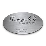 Pferdeschild mit Gravur aus Edelstahl | Namensschild Boxenschild Premium Stallschild mit Bohrlöcher oder selbstklebend 15x8 cm oval mit Brandzeichen und Motiven Ideal für den Stall Pferdebox… (D0)