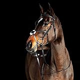 HORZE Prescott mexikanische Trense, Schwarz, C