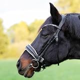 Heinick Trense Custom Zaumhaken Weiss Schnellwechselsystem ~ Warmblut ~