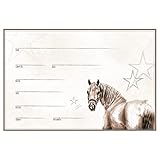 ZAUBERBILD Boxenschild Stallschild Stalltafel Namensschild Pferd 'Pony' 20x30cm Alu