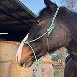Knotenhalfter für Bodenarbeit Pferd - Knotenhalfter Cob optimal für Freiarbeit, Bodenarbeit, Führ- oder Verladetraining (Pony, Grün-Weiss)
