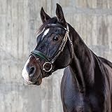 Sunride englisch kombinierte Trense Hawaii mit Zügel, aus weichem Echtleder, farbig unterlegt, verstellbar und anatomisch (Cob, braun/grün)