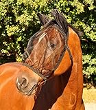 WALDHAUSEN Fliegenmaske Basic, mit Ohrenschutz Warmblut, schwarz